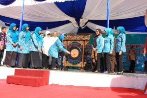 kunjungan ketua tp pkk pusat ke payakumbuh
